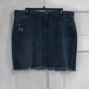 True Craft Denim Skirt